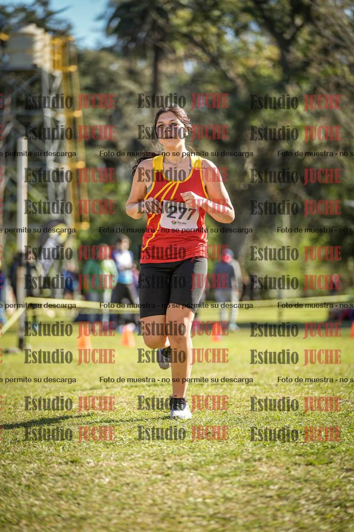 Fotos de la llegada del cross de 3000 m