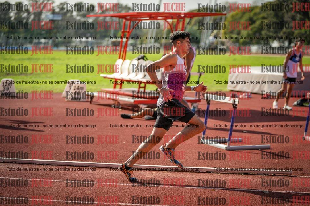Fotos de los 800 m llanos de varones
