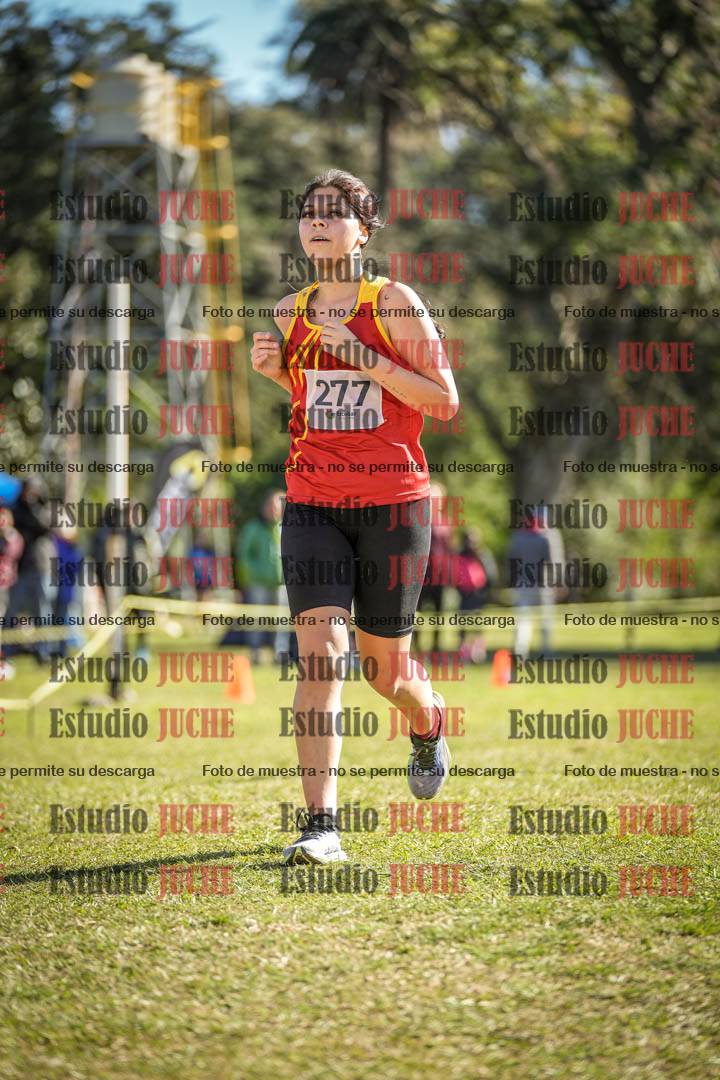 Fotos de la llegada del cross de 3000 m