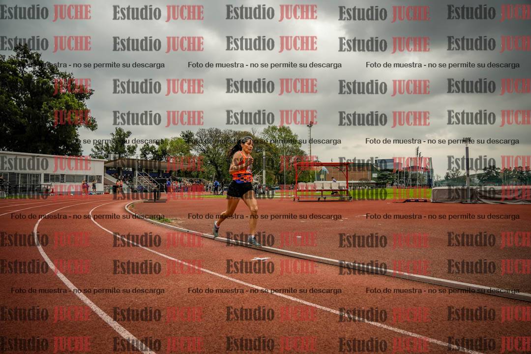 Fotos de los 800 m llanos de mujeres
