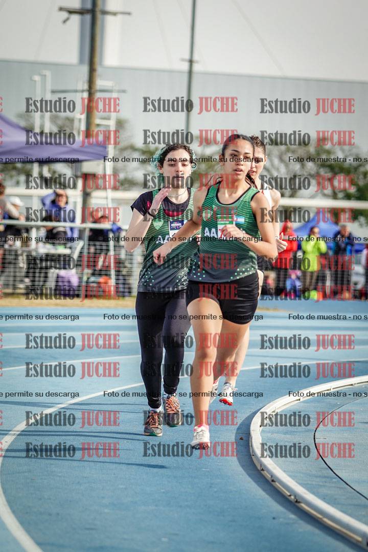 Fotos de los 800 m llanos de mujeres