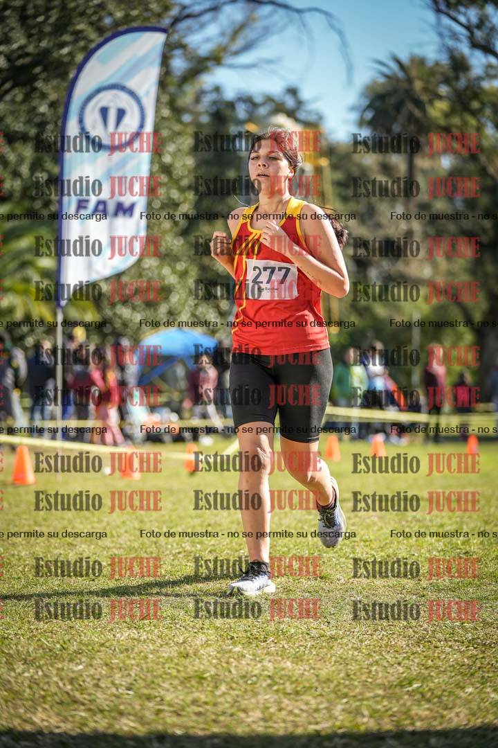 Fotos de la llegada del cross de 3000 m