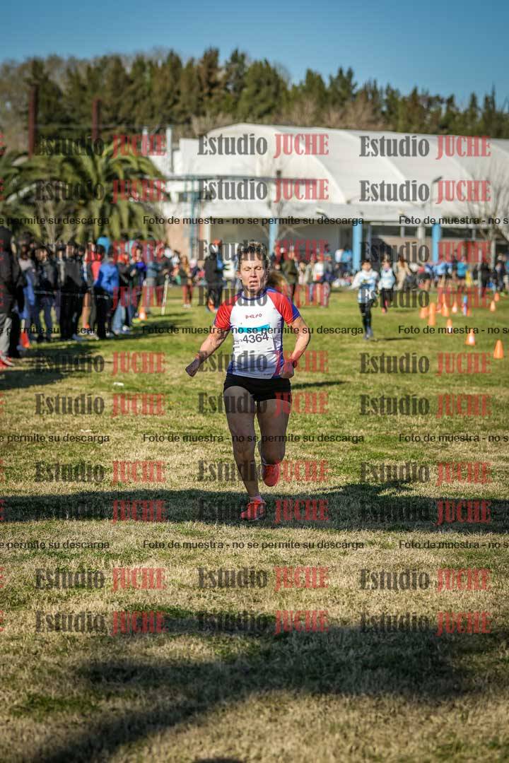 Fotos de las llegadas