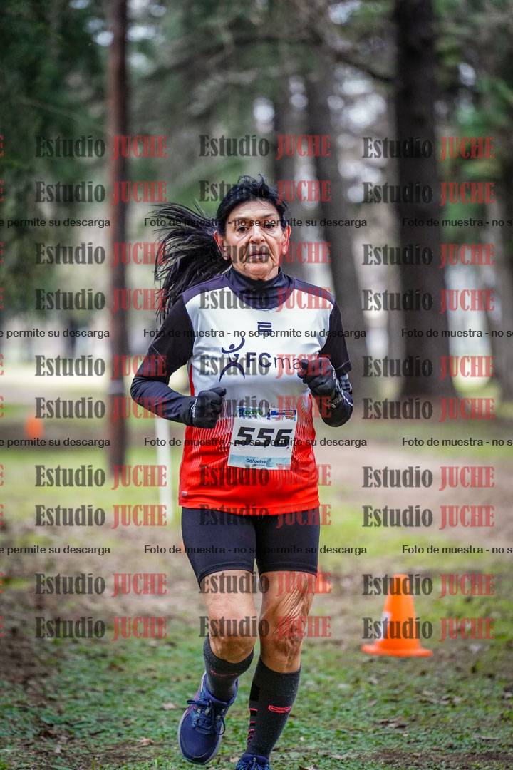 Fotos en el circuito