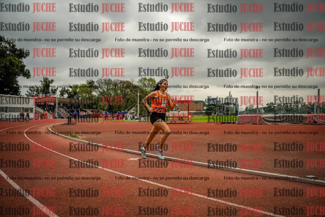 Fotos de los 800 m llanos de mujeres