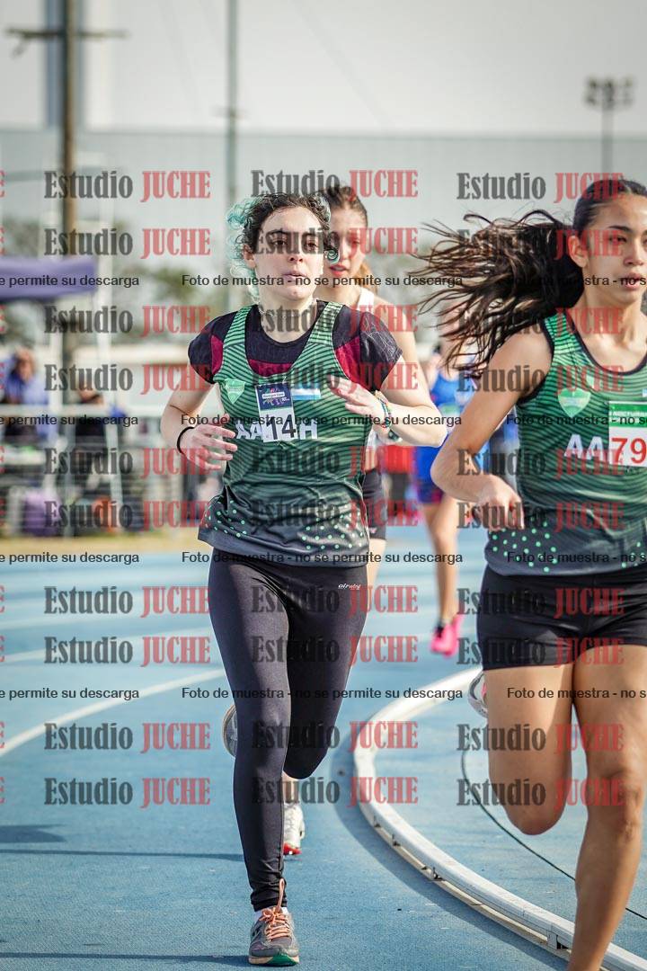 Fotos de los 800 m llanos de mujeres
