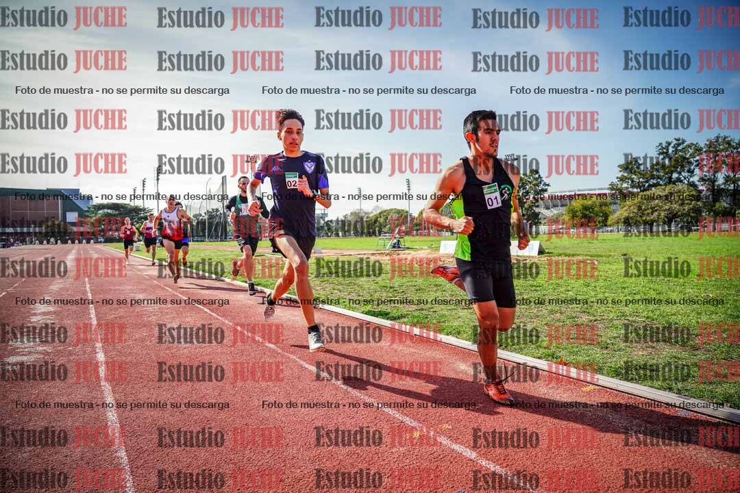 Fotos de los 800 m llanos de varones