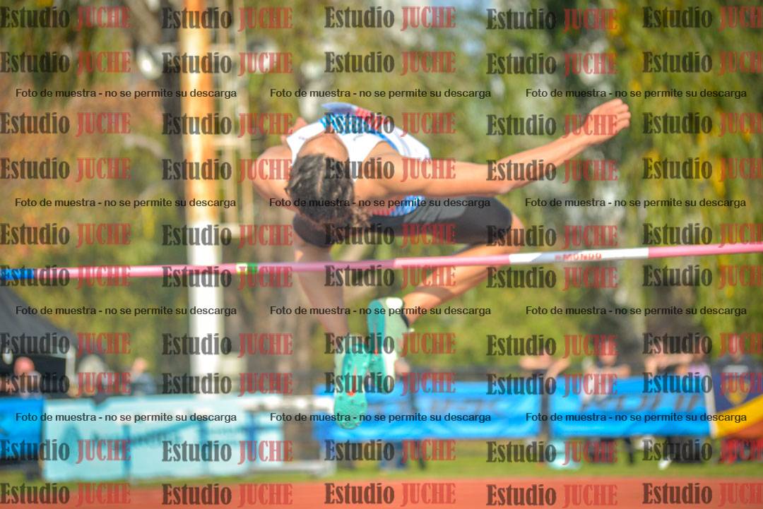 Fotos del salto en alto de varones