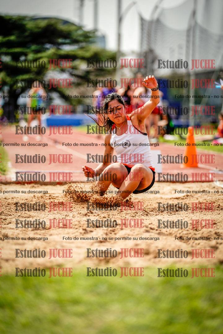 Fotos del salto en largo de mujeres