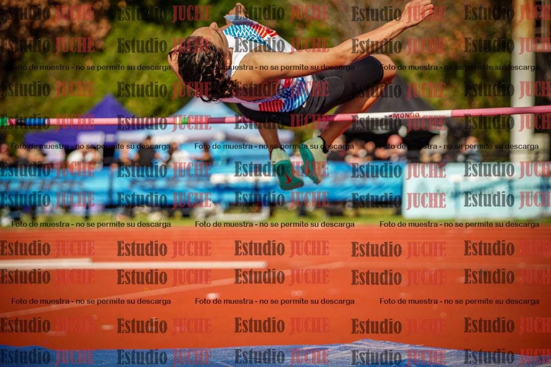 Fotos del salto en alto de varones