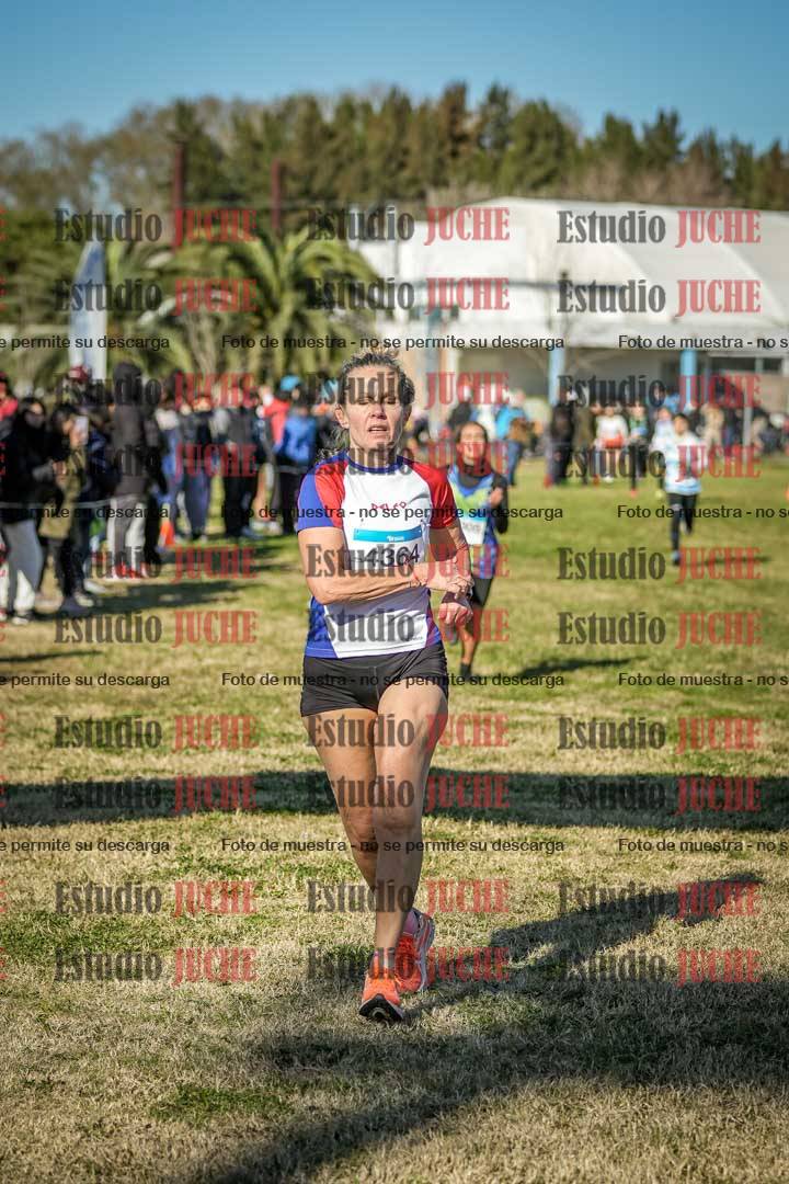 Fotos de las llegadas