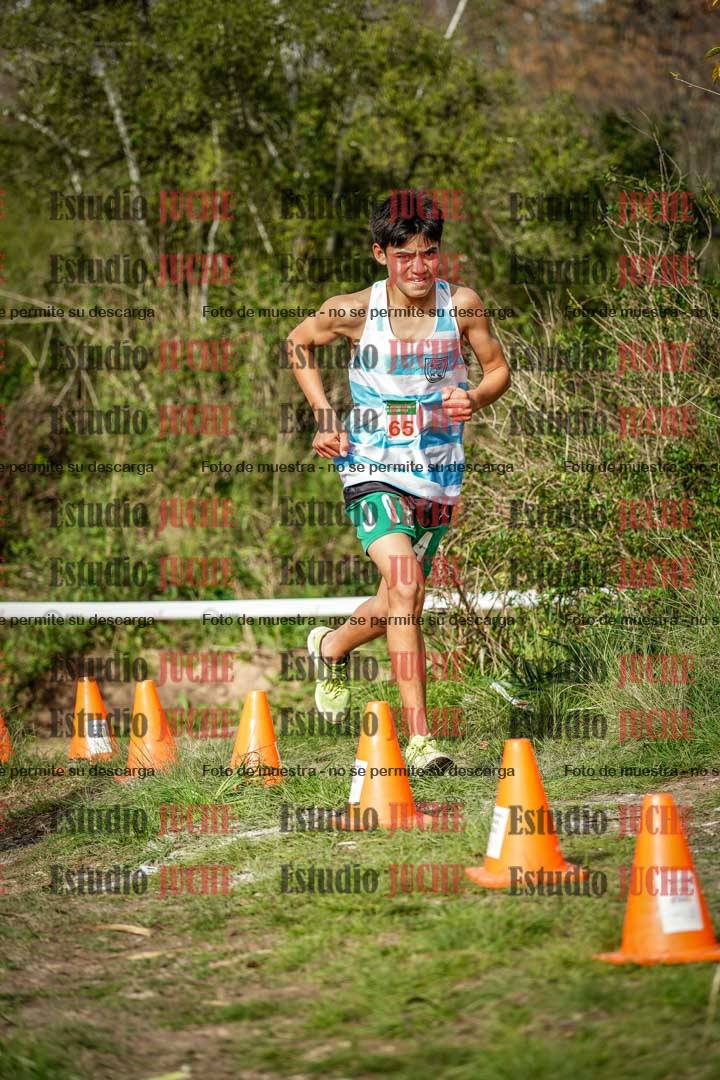 Fotos en el circuito