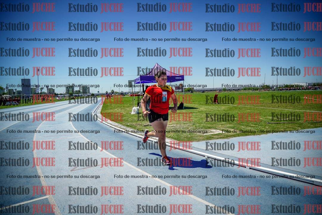 Fotos de los 800 m llanos de mujeres
