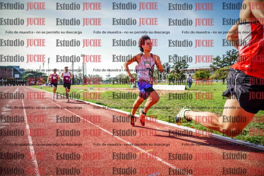 Fotos de los 800 m llanos de varones