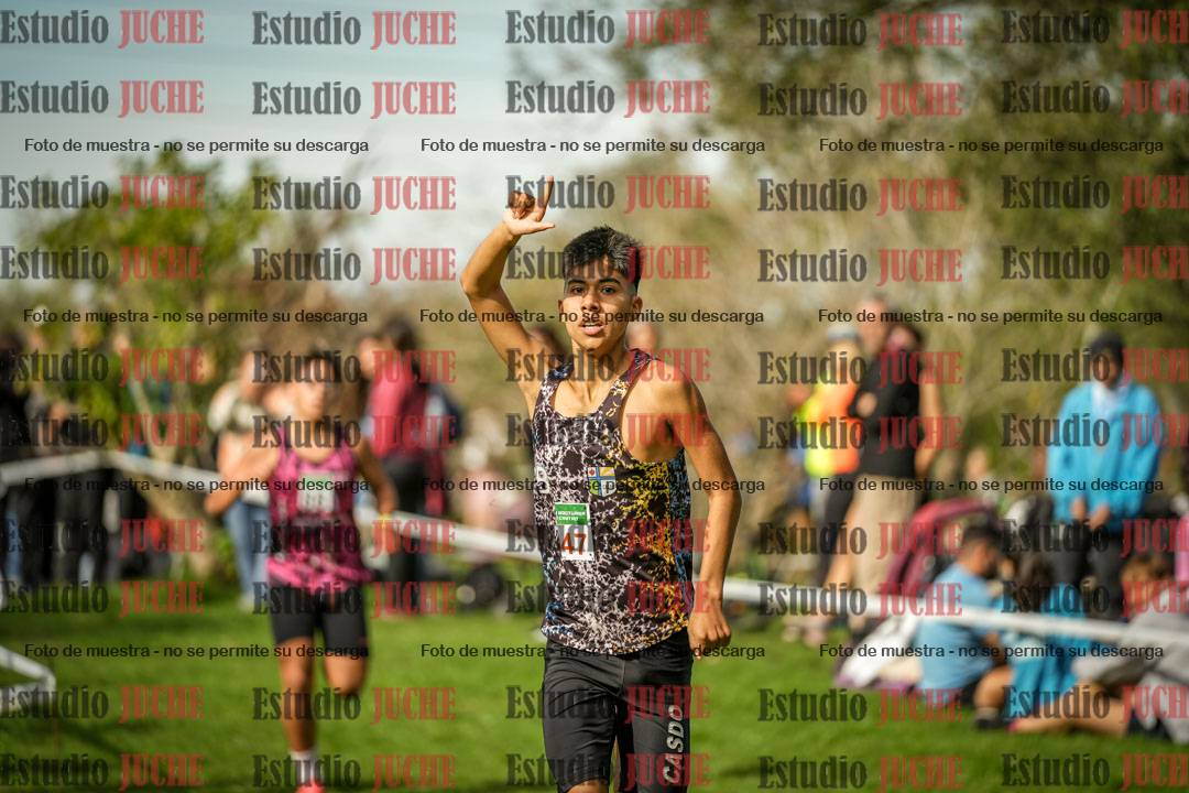 Fotos de la llegada del cross de 2000 m