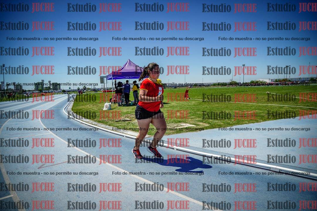 Fotos de los 800 m llanos de mujeres