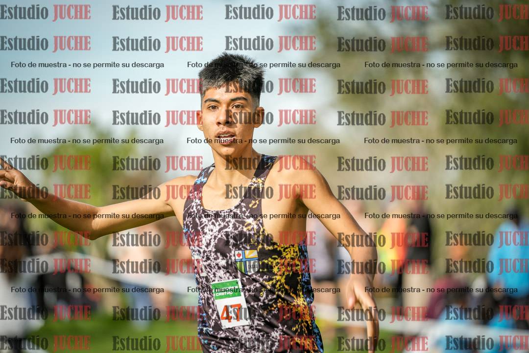 Fotos de la llegada del cross de 2000 m