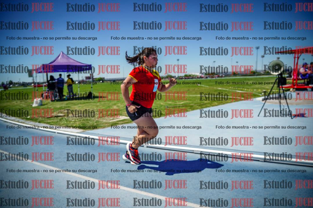 Fotos de los 800 m llanos de mujeres