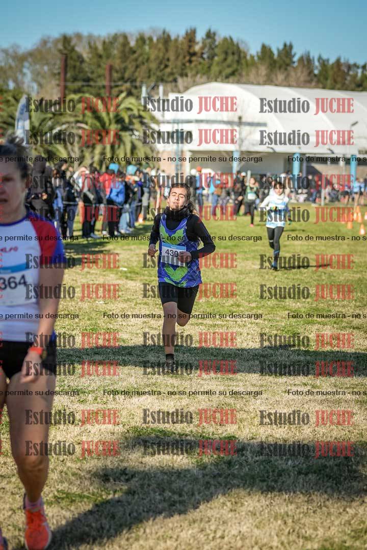 Fotos de las llegadas