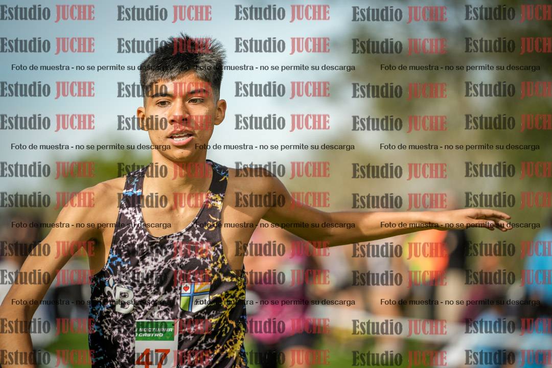 Fotos de la llegada del cross de 2000 m
