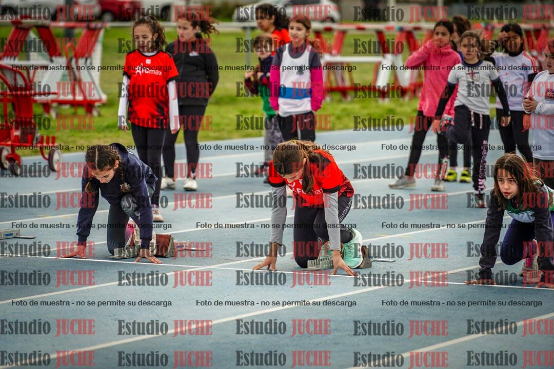 Fotos de los 50 m llanos de mujeres - U12