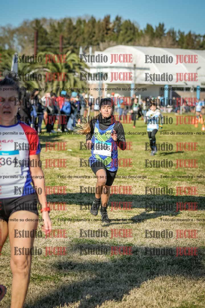 Fotos de las llegadas