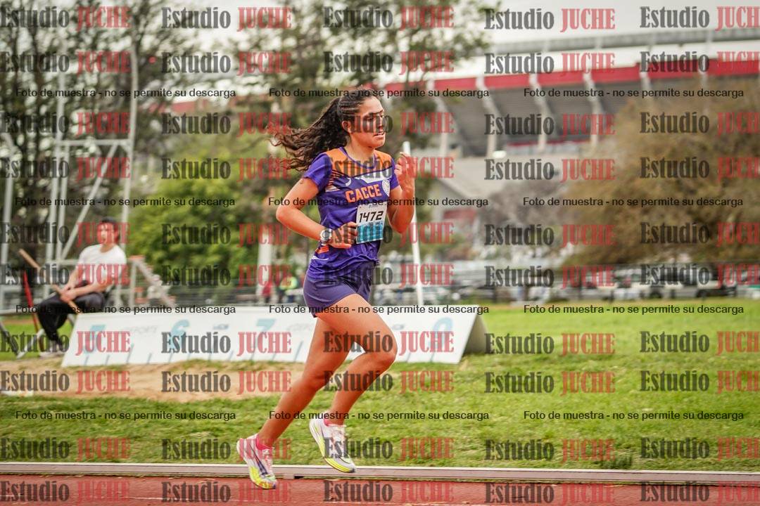 Fotos de los 5000 m de mujeres
