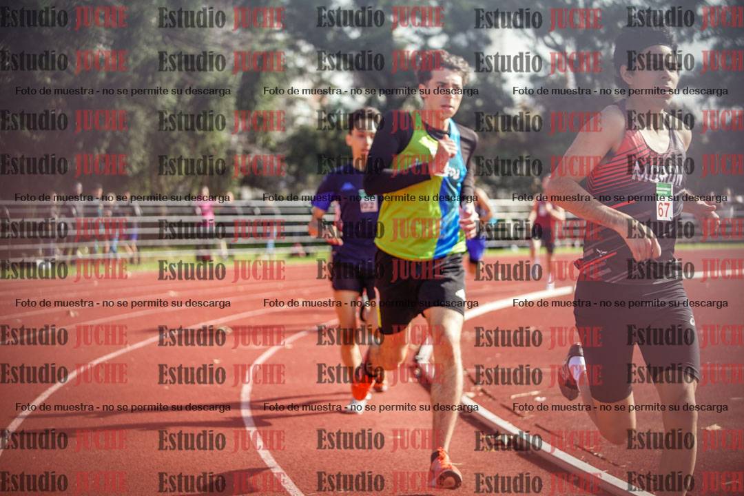 Fotos de los 800 m llanos de varones