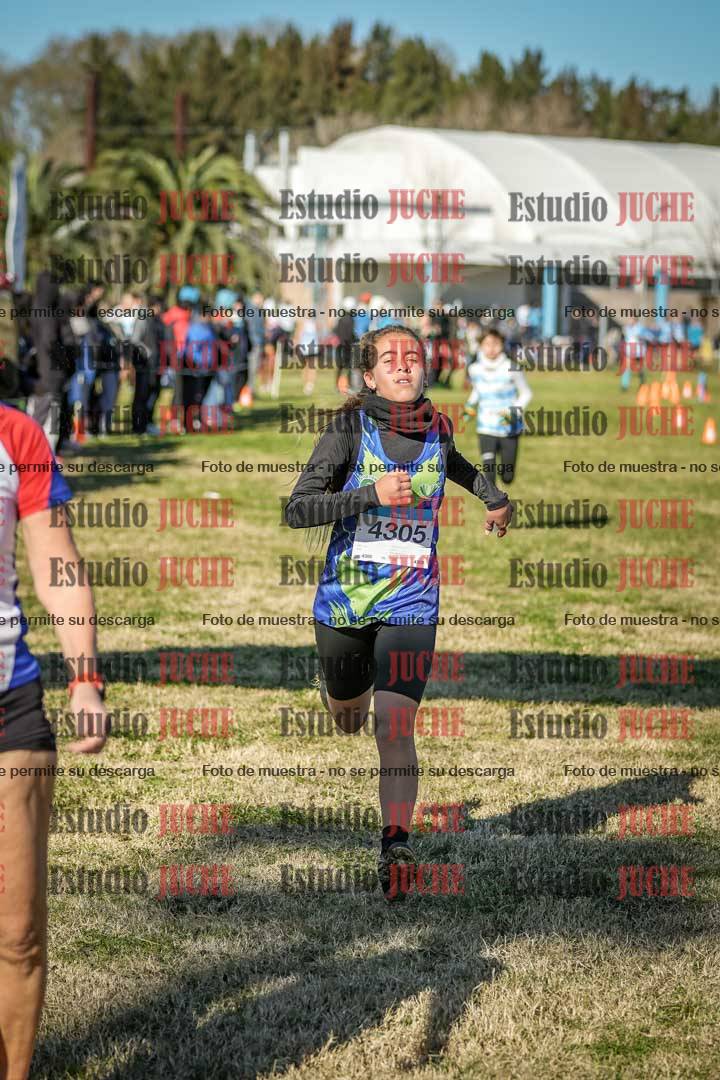 Fotos de las llegadas