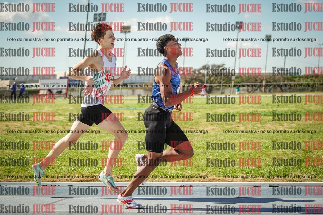 Fotos de los 800 m llanos de varones
