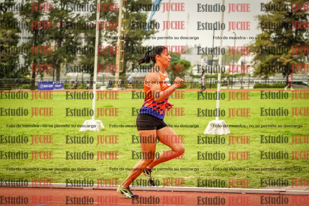Fotos de los 800 m llanos de mujeres