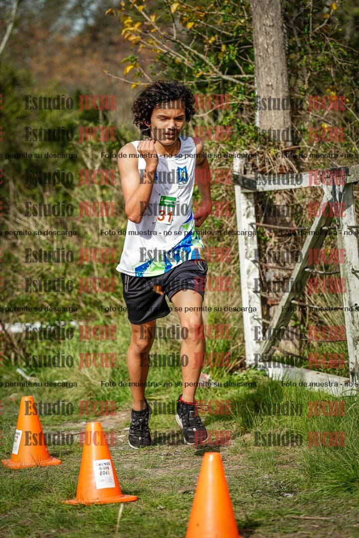 Fotos en el circuito