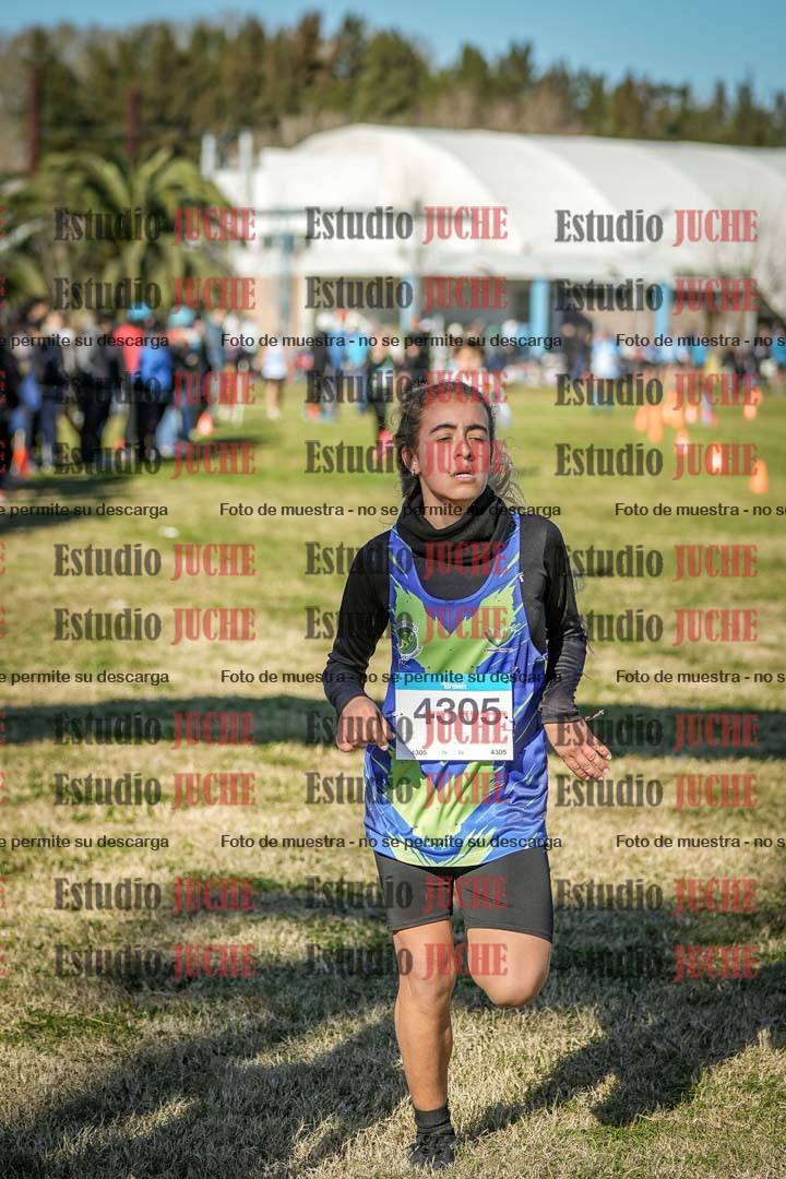 Fotos de las llegadas