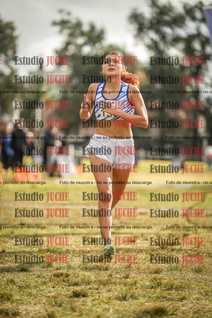 Fotos de la llegada
