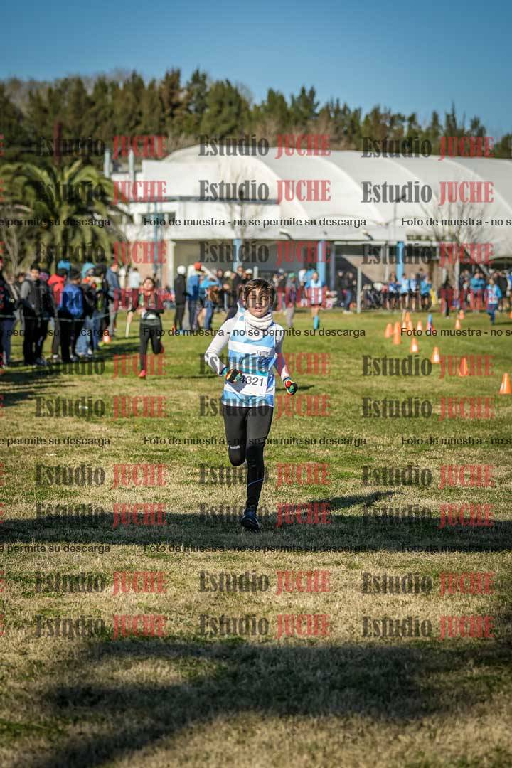 Fotos de las llegadas