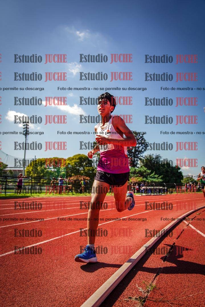 Fotos de los 5000 m llanos
