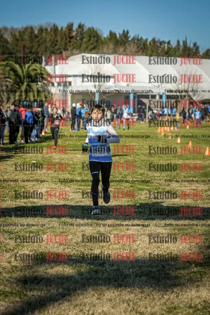 Fotos de las llegadas