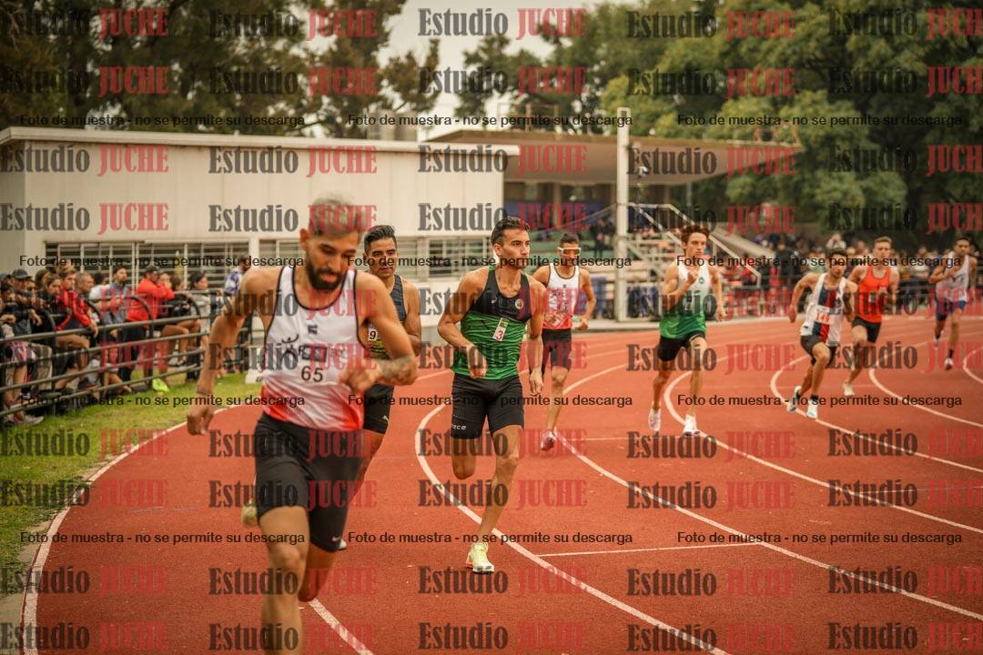 Fotos de los 800 m llanos de varones