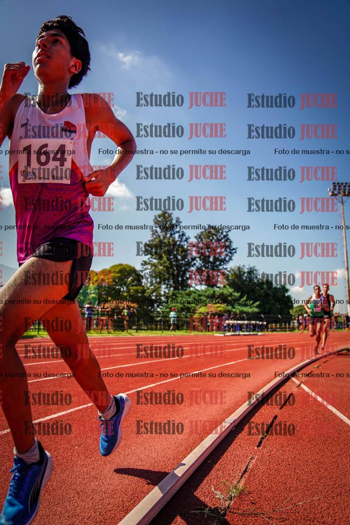 Fotos de los 5000 m llanos