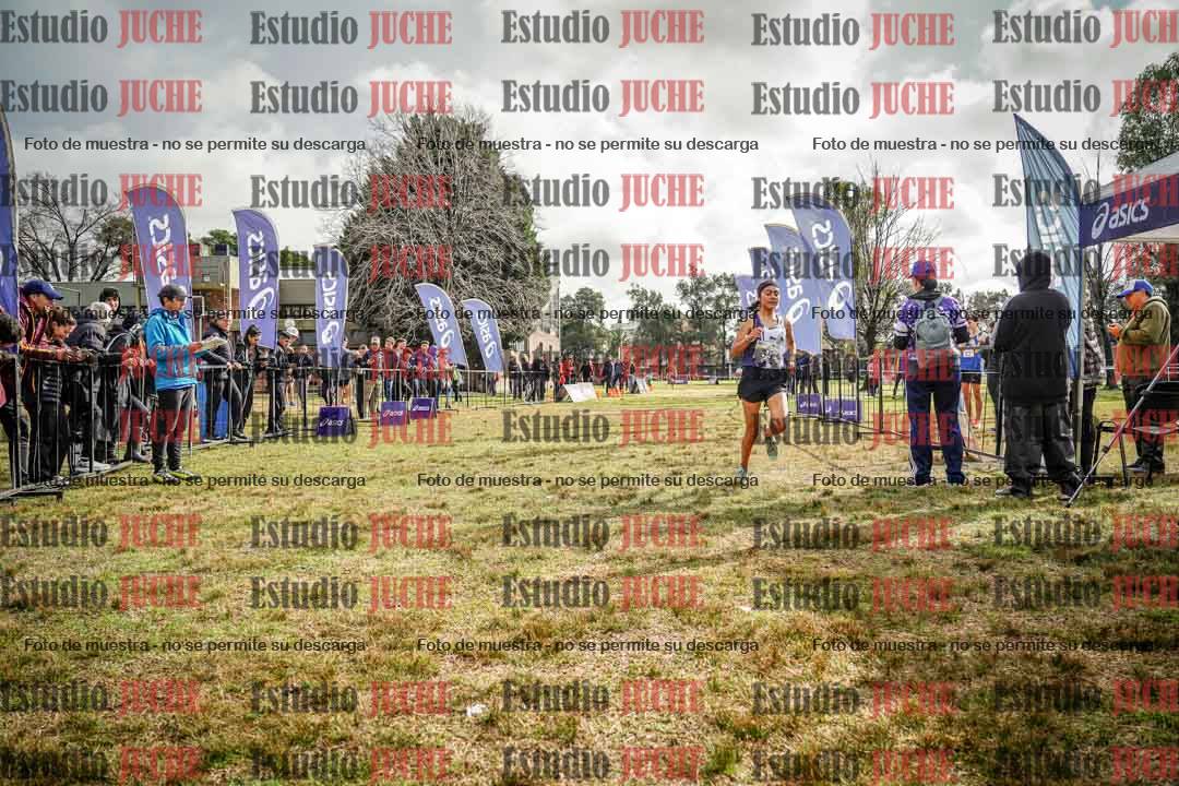Fotos de la llegada