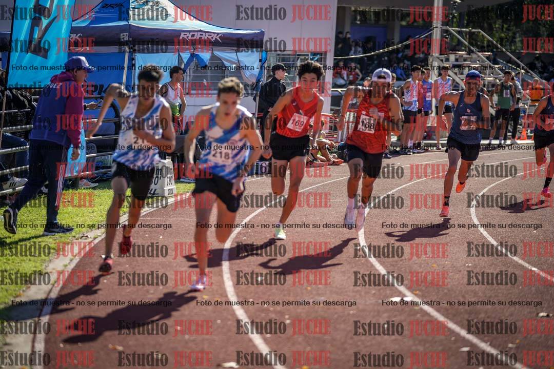 Fotos de los 800 m llanos de varones