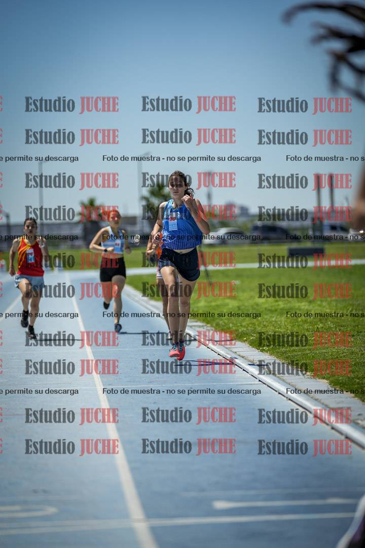 Fotos de los 800 m llanos de mujeres