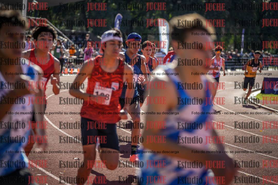 Fotos de los 800 m llanos de varones