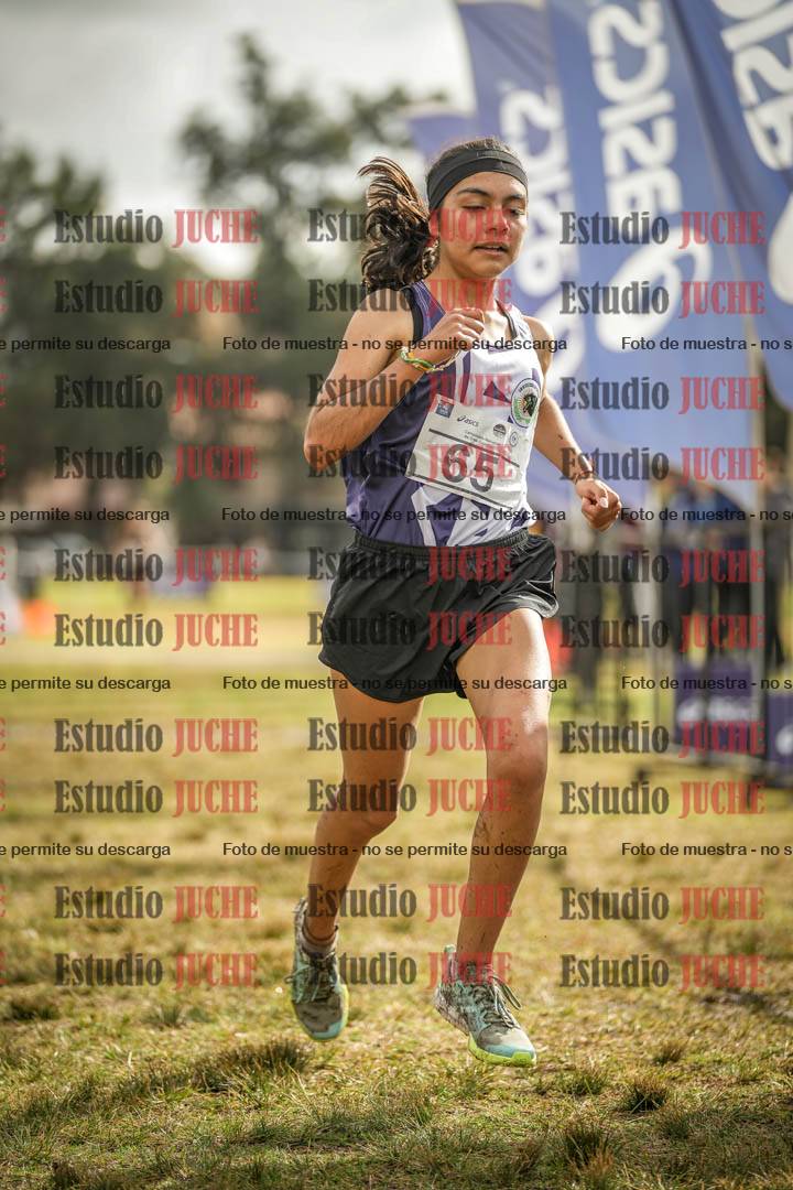 Fotos de la llegada