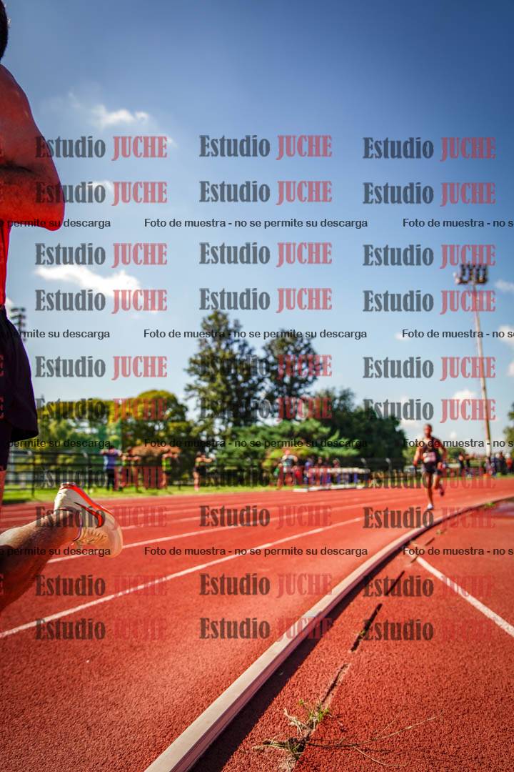 Fotos de los 5000 m llanos