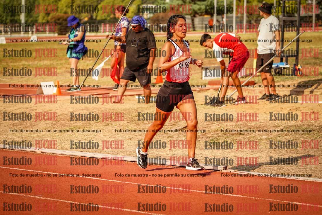 Fotos de los 1500 m llanos de mujeres