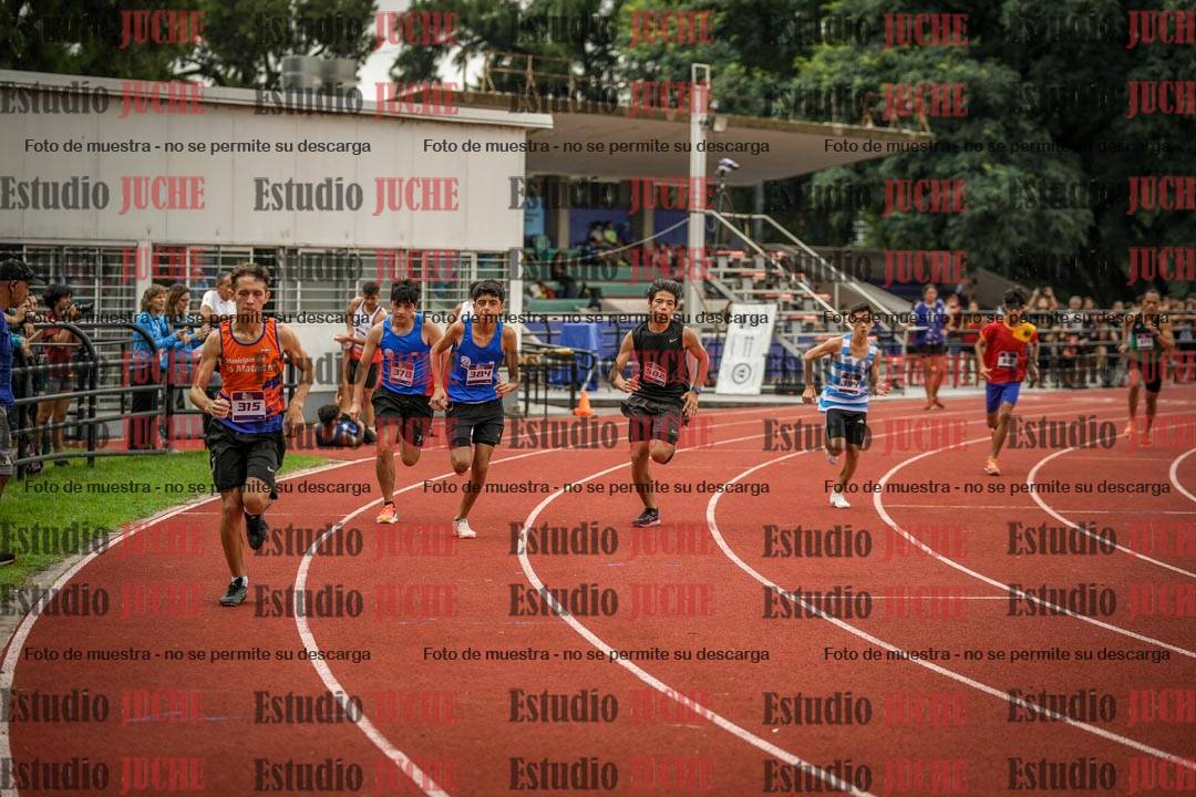 Fotos de los 800 m llanos de varones