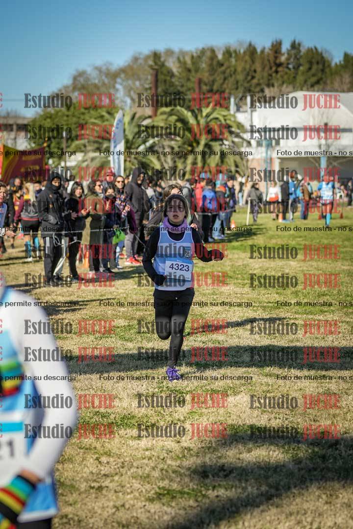 Fotos de las llegadas
