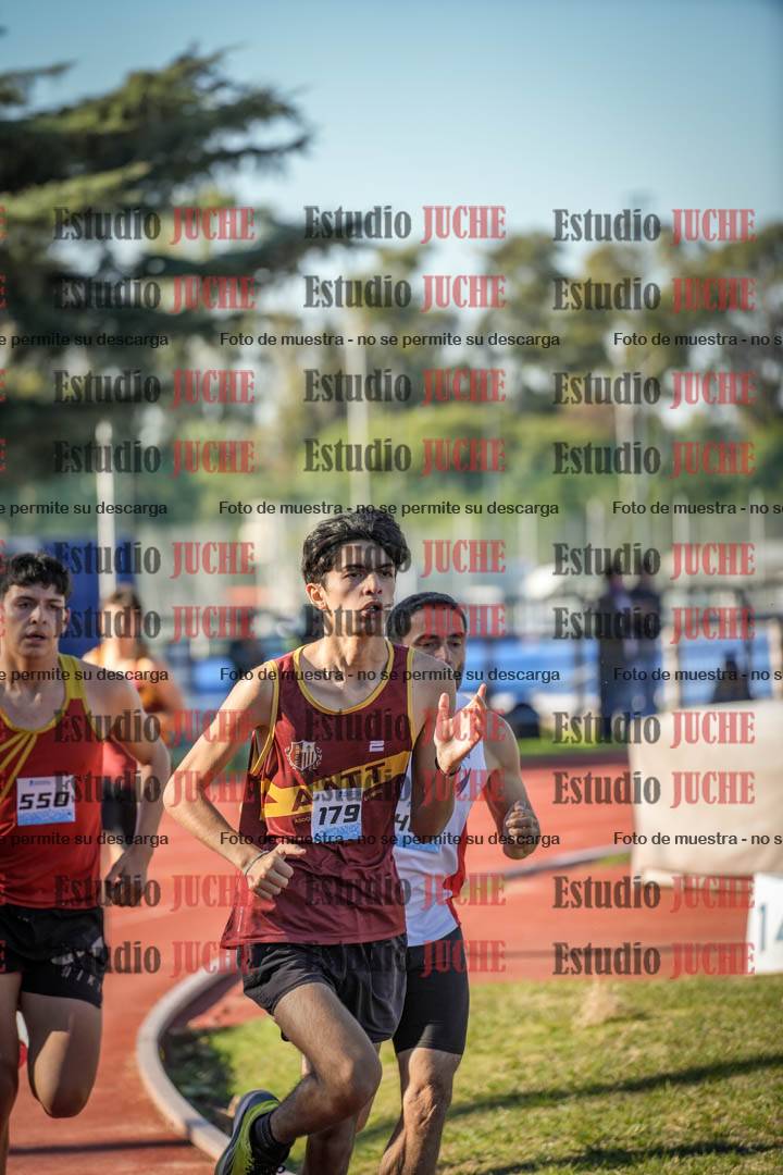Fotos de los 800 m llanos de varones