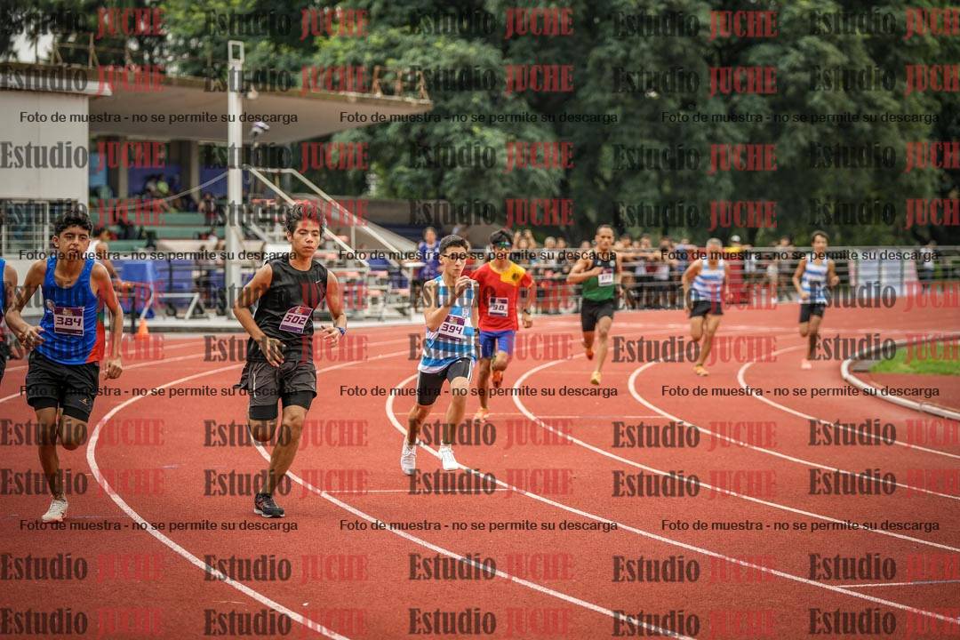 Fotos de los 800 m llanos de varones